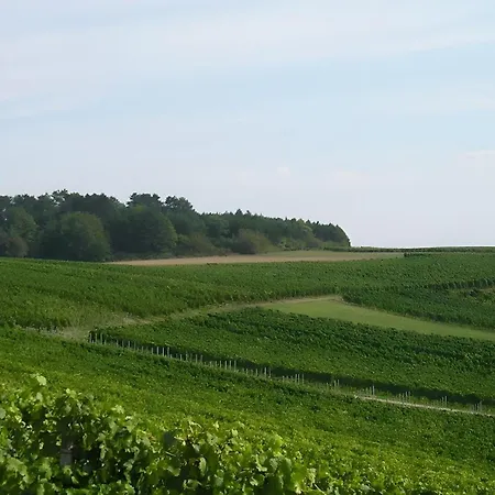 Im Weingut - Kleine Galerie Apartman Konigheim