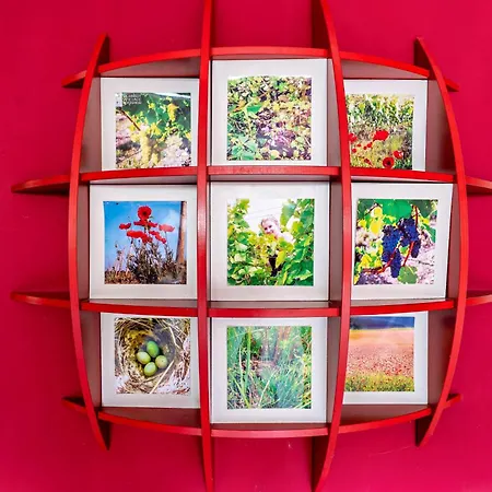 Appartement Im Weingut - Kleine Galerie *